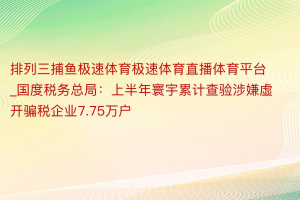 排列三捕鱼极速体育极速体育直播体育平台_国度税务总局：上半年寰宇累计查验涉嫌虚开骗税企业7.75万户