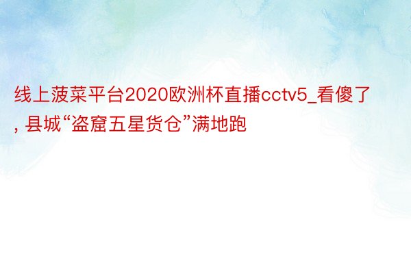 线上菠菜平台2020欧洲杯直播cctv5_看傻了, 县城“盗窟五星货仓”满地跑