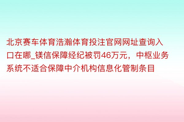 北京赛车体育浩瀚体育投注官网网址查询入口在哪_镁信保障经纪被罚46万元，中枢业务系统不适合保障中介机构信息化管制条目