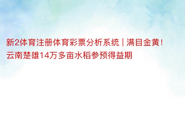 新2体育注册体育彩票分析系统 | 满目金黄！云南楚雄14万多亩水稻参预得益期